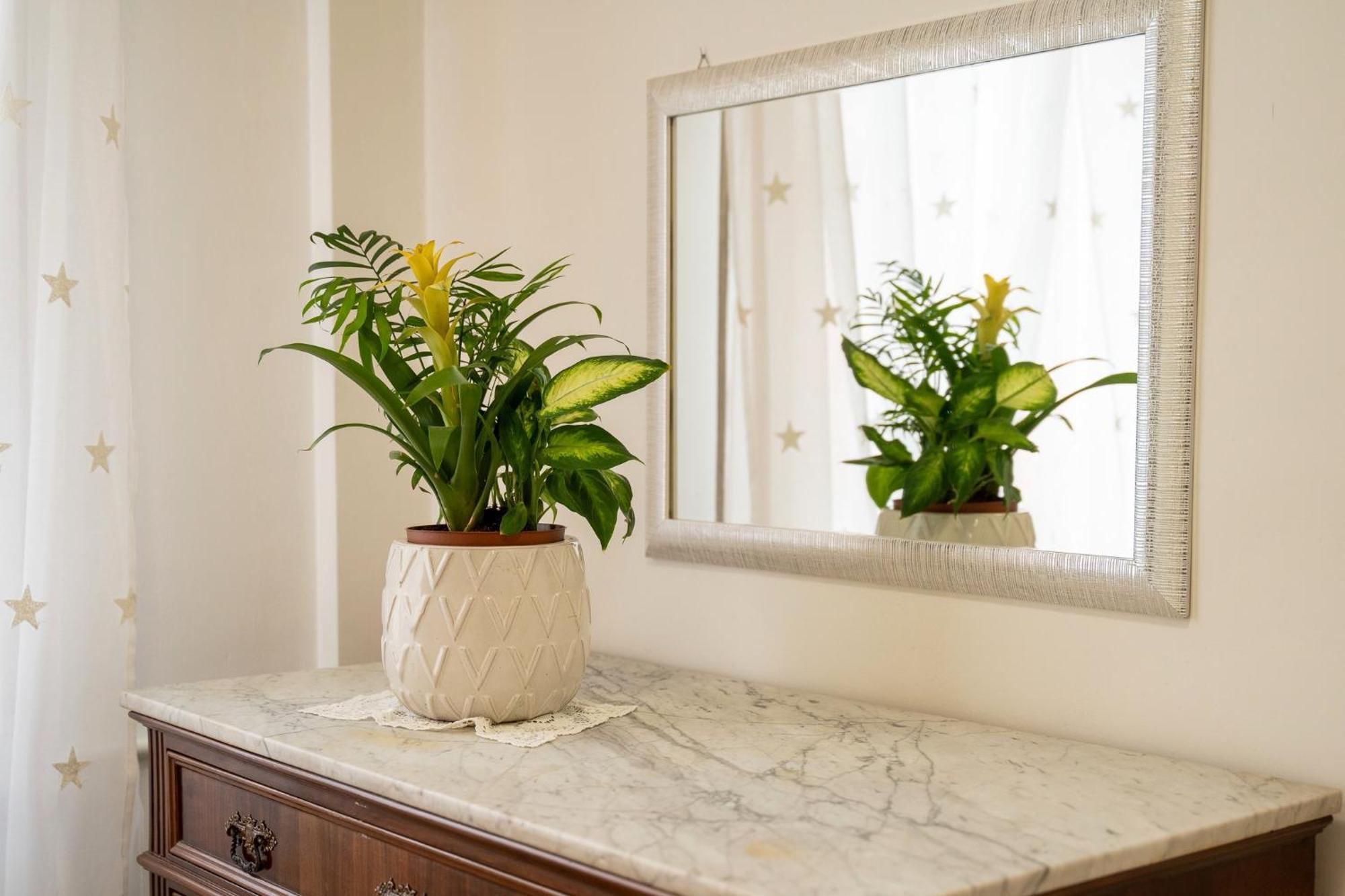B&B Il Salvi Sassoferrato Ngoại thất bức ảnh